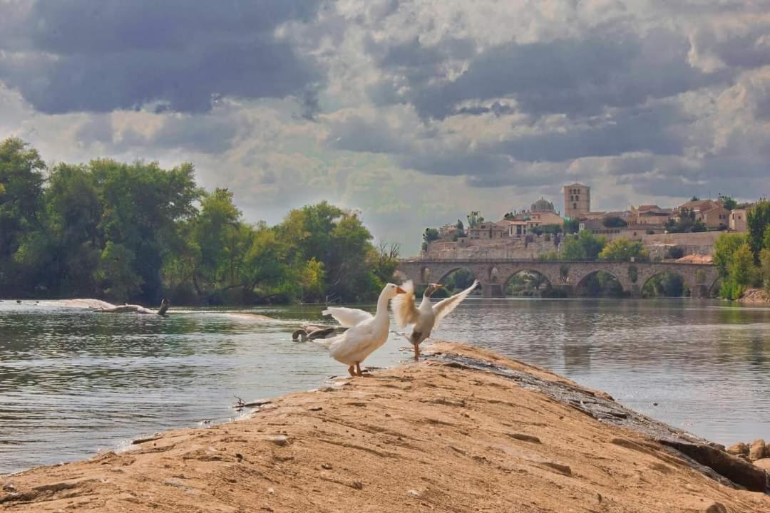 A Los Ojos Del Rio Duero Zamora Exterior foto