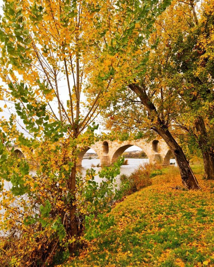 A Los Ojos Del Rio Duero Zamora Exterior foto