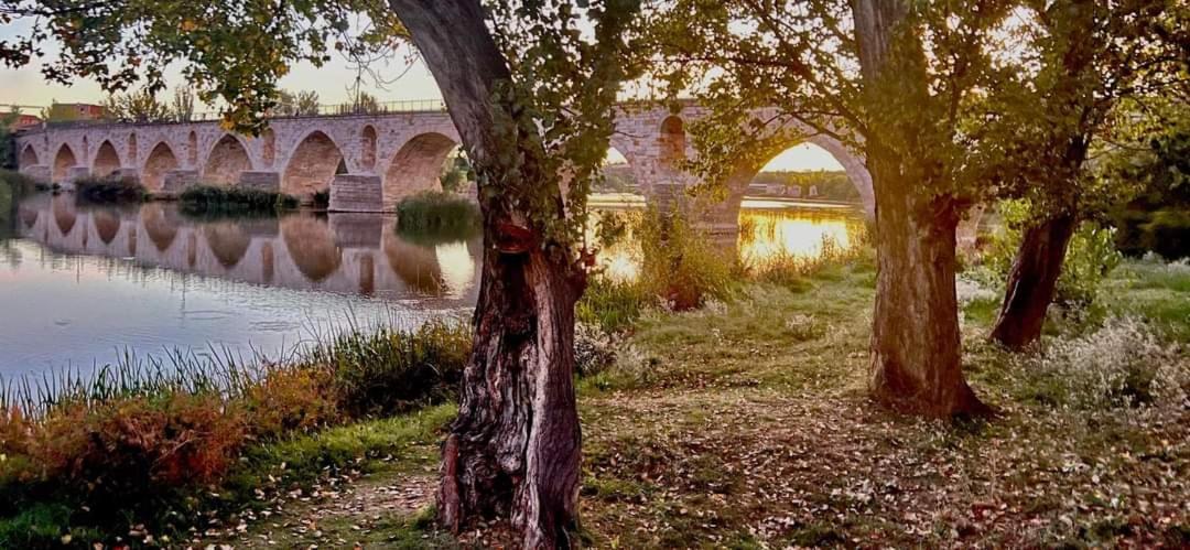 A Los Ojos Del Rio Duero Zamora Exterior foto