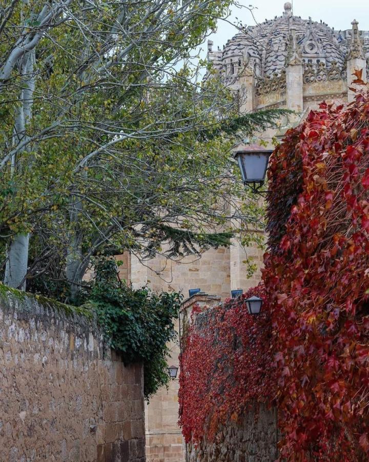 Ferienwohnung A Los Ojos Del Rio Duero Zamora Exterior foto