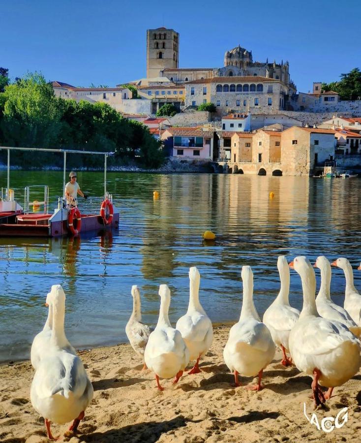 Ferienwohnung A Los Ojos Del Rio Duero Zamora Exterior foto