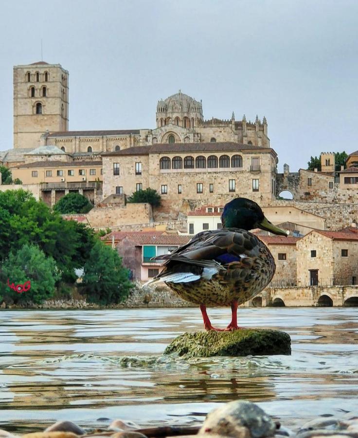 Ferienwohnung A Los Ojos Del Rio Duero Zamora Exterior foto