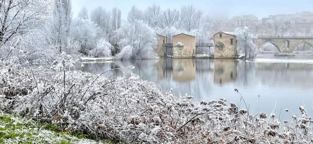 Ferienwohnung A Los Ojos Del Rio Duero Zamora Exterior foto