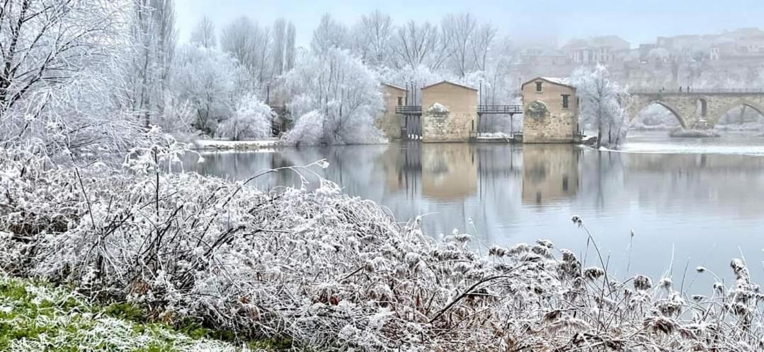 A Los Ojos Del Rio Duero Zamora Exterior foto